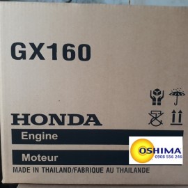 máy nổ 5hp honda gx160